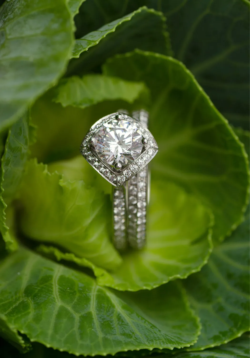 Furrer Jacot Lucienne Platinum Semi-Mount Diamond Ring