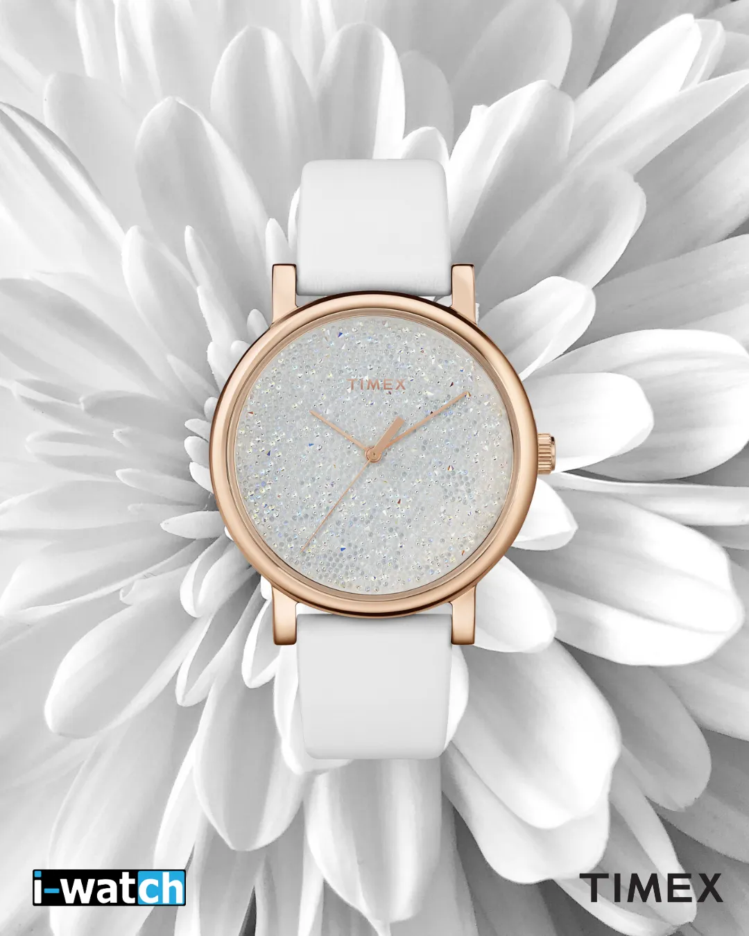 Timex Brass Analog Women's Watch TW2R95000